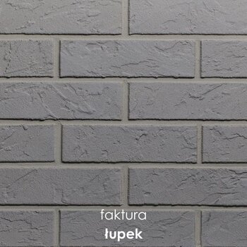 113 Trydent (łupek)
