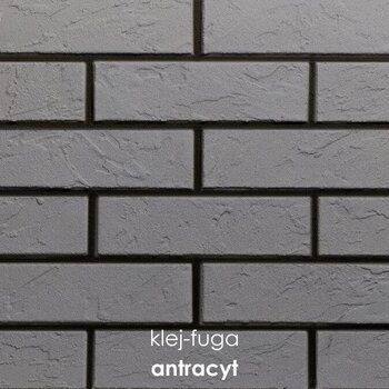 113_antracyt