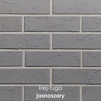 113_jasnoszary