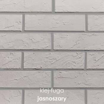 100_jasnoszary