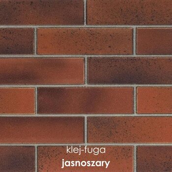 P.73_jasnoszary