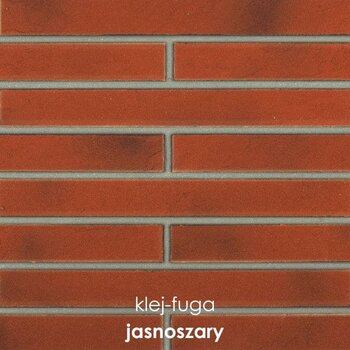 L.01_jasnoszary