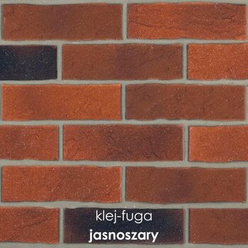 SC.157_jasnoszary