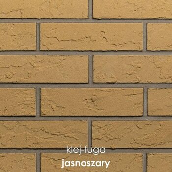 102_jasnoszary