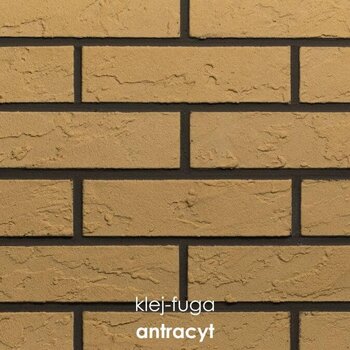 102_antracyt