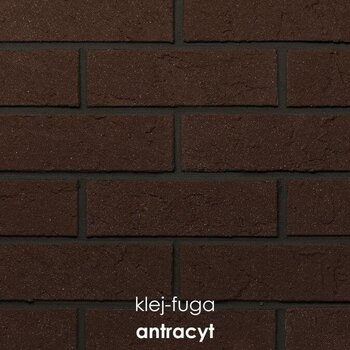 104_antracyt