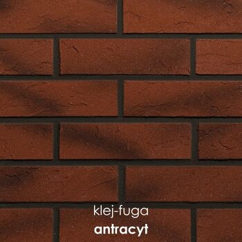  106_antracyt