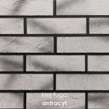 109_antracyt