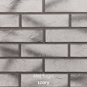 109_szary