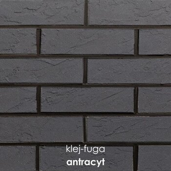 110_antracyt
