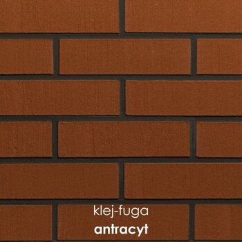 117_antracyt