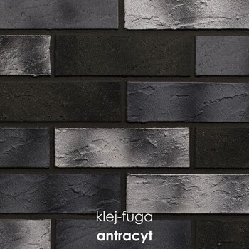 121_antracyt
