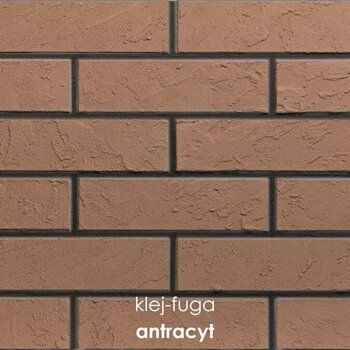 122_antracyt
