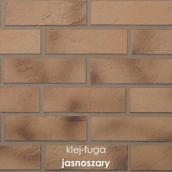 C.4_jasnoszary
