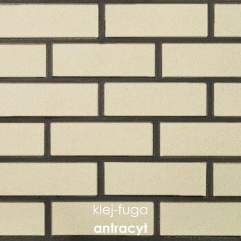 C.15_antracyt