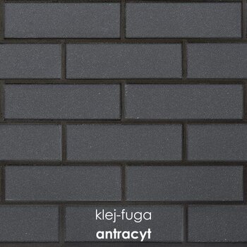  C.16_antracyt