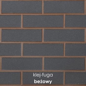  C.16_beżowy