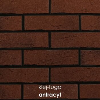 SC.107_antracyt