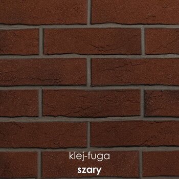SC.107_szary