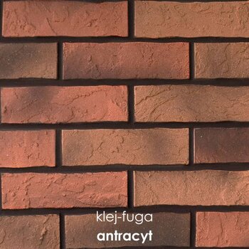 SC.39_antracyt