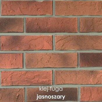 SC.39_jasnoszary