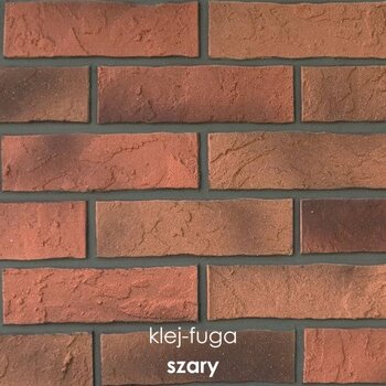 SC.39_szary