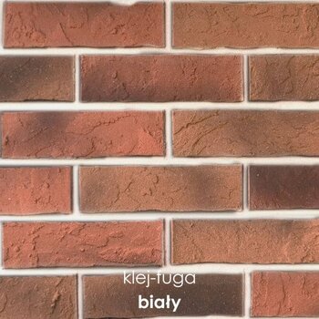 SC.39_biały