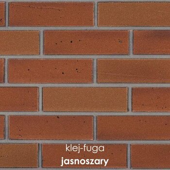 P.23_jasnoszary